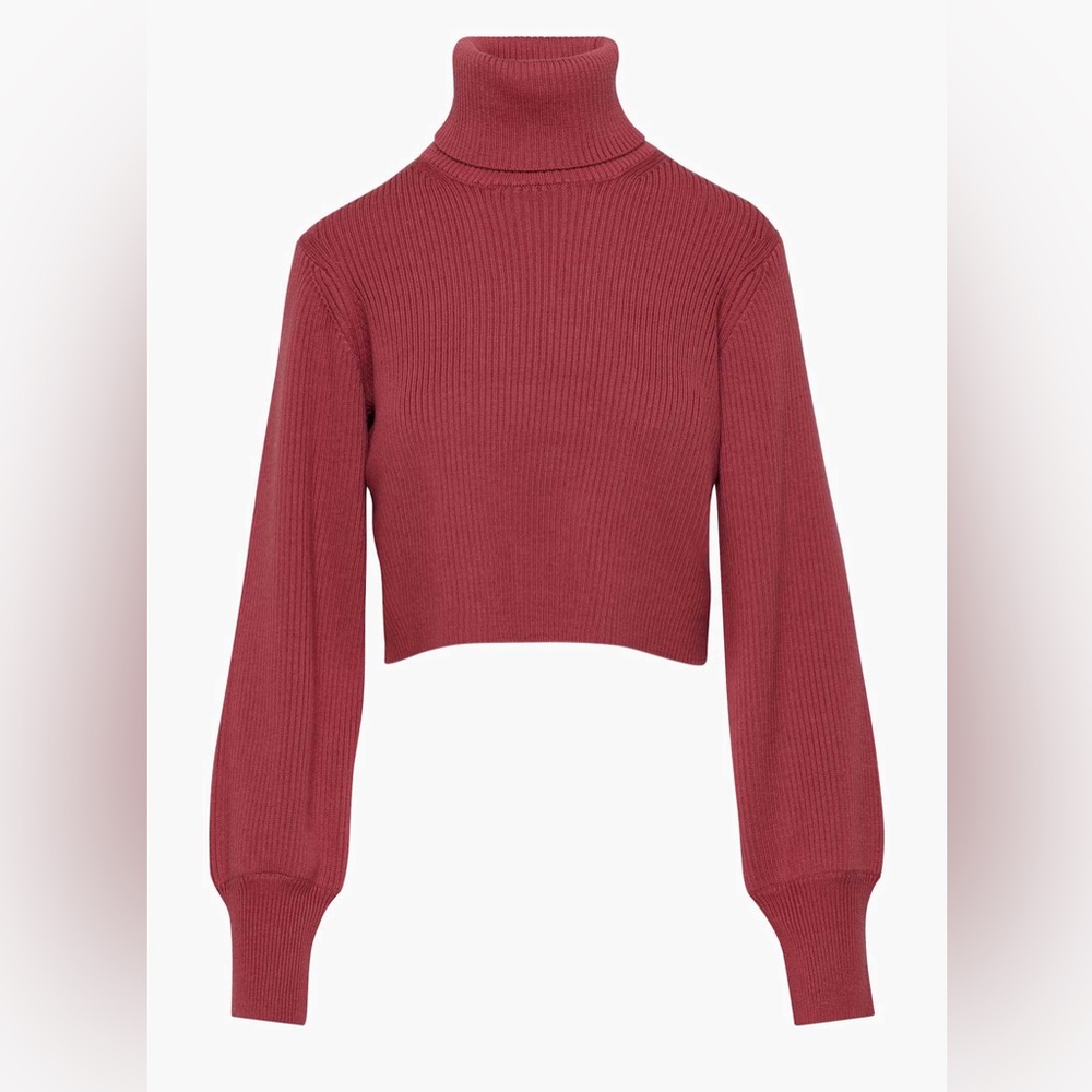ARITZIA Wilfred Rebecca Turtleneck Size Small - Picture 2 of 10